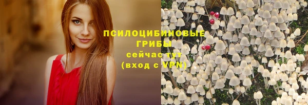 ПСИЛОЦИБИНОВЫЕ ГРИБЫ Алзамай