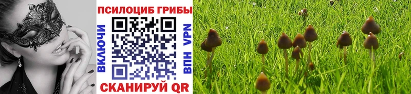 Псилоцибиновые грибы Magic Shrooms Камешково